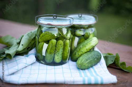 Photo: pickled cucumber / ogórki kiszone lub małosolne pickled cucumber / ogórki kiszone lub małosolne