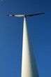 wind mill wind mill