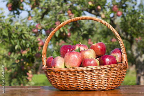 Photo: Apfel Apfel