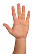 Hand isolated + Clipping Path
