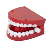 Fake Chattering Teeth