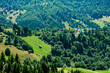 Idyllic view of a green valley in rural Romania