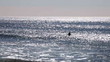 surfer 13 - floating in waves