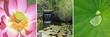 tryptique sur bassin aquatique de jardin zen tryptique sur bassin aquatique de jardin zen