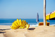 Tropical Bananas