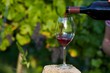 Foto: Wein Wein