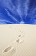 Steps in the sand of the Dune du Pyla, France