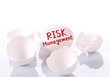 Risk management