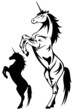 rearing unicorn vector illustration