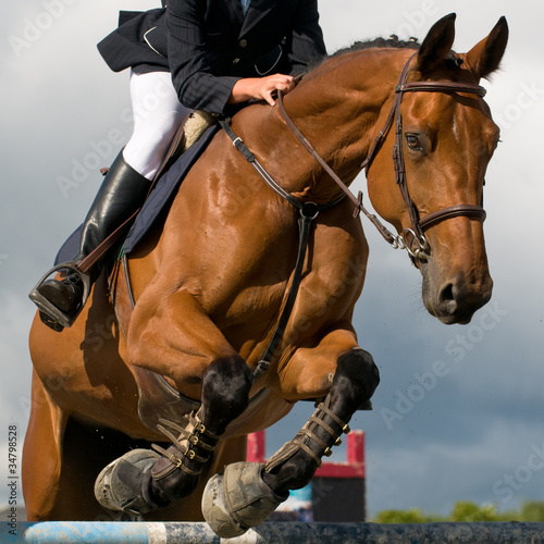 Photo: jumping jumping