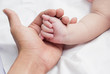 Adult hand hold kids