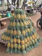 Pyramide d'ananas