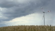 wind turbine in cornfield