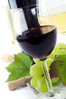 glasses of wine and  grape