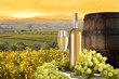 white wine on vineyard