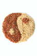 Rise Yin-Yang