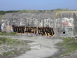 blockhaus