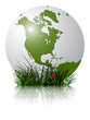 earth globe and grass reflected