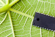 biotech