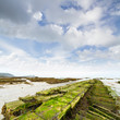 Cancale Ostréiculture Cancale Ostréiculture