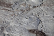 The mud volcanoes