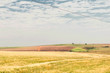 Paranà - Brazil