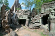 Ta Prohm, Angkor