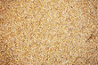 Foto : Natural Wheat Grains Natural Wheat Grains