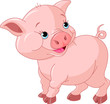 Little Baby Pig