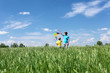 father with son in summer with kite