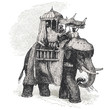 Eléphant