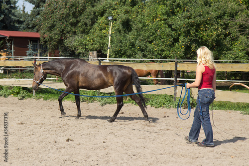 Photo: Longieren Longieren