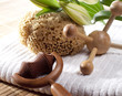 ustensiles de massage en bois éponge naturelle ustensiles de massage en bois éponge naturelle