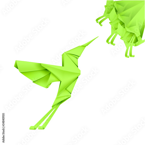 Vektor: Paper Colibri Paper Colibri