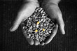 Hands holding a pile of corn