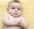 buste de bébé
