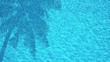 Pool - 001 - Palme - Film