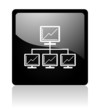 network icon