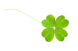 clover