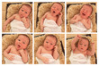 Newborn baby boy