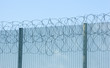 Prison Fence