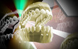 Mouth
