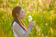 Foto: Summer Meadow Summer Meadow