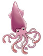 squid