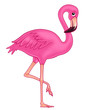 flamingo