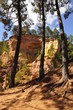 L'ocre derrière les arbres