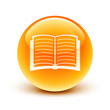icône livre / book icon