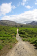 Iceland - tourist trail