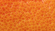 Orange fruit texture.