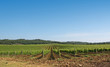 Toscana